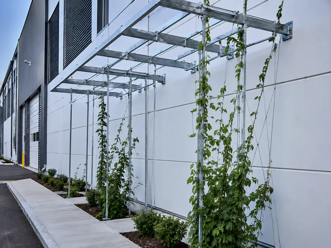 Completed Metal Trellises installation in Pickering by The Grate Guys